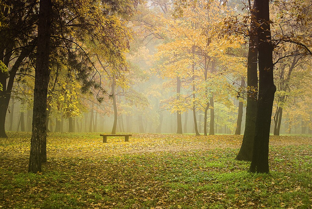 Kosutnjak during autumn or fall, is a beautiful place to be.
